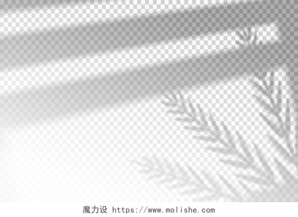 灰色简约光影墙面影子窗户植物树叶展板背景自然光影背景  